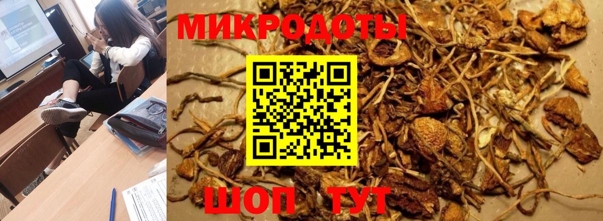 Галлюциногенные грибы Psilocybine cubensis Моздок