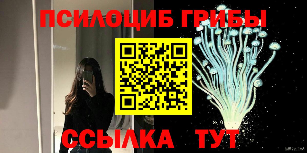 Моздок  Галлюциногенные грибы Psilocybine cubensis  Псилоцибиновые грибы Magic Shrooms  купить  цена  Вход с VPN 