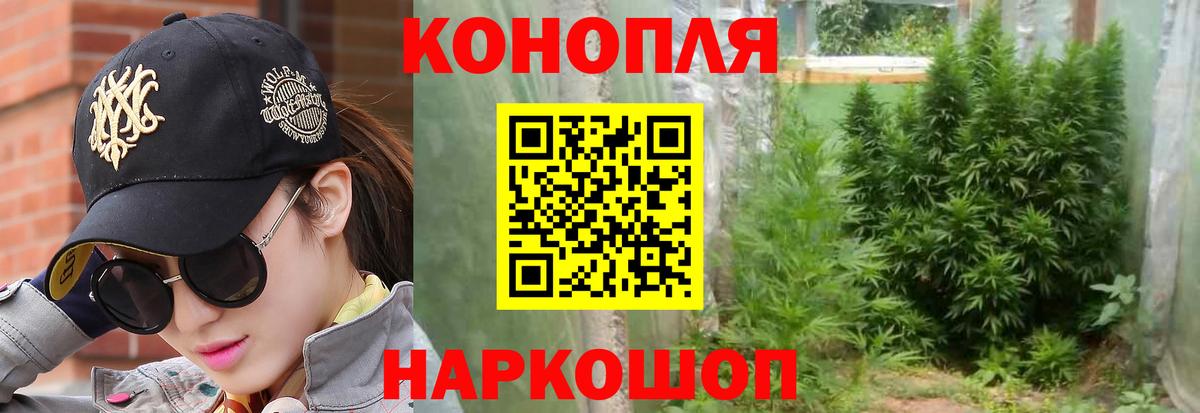 Бошки марихуана White Widow Моздок